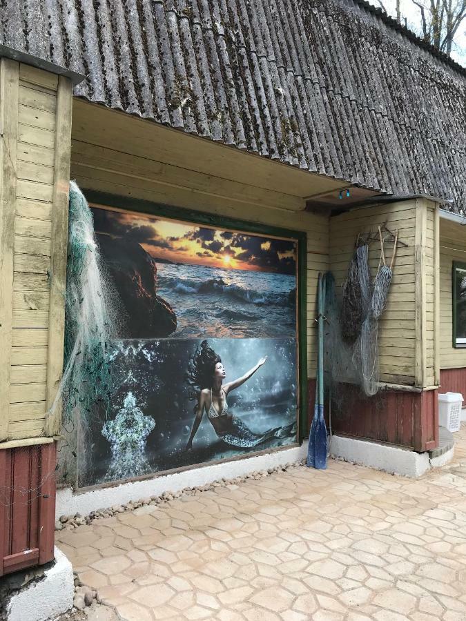 Viesu Maja Arnicani Рагациемс Екстериор снимка